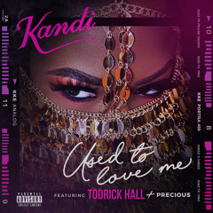 Used To Love Me (feat. Todrick Hall & Precious)
