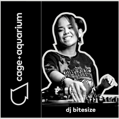 Stream DJ Bitesize C+A Foundations Mix by Cage + Aquarium Listen