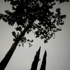 Desolation