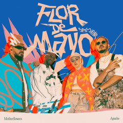 Quien Lo Diría? (Flor de Mayo Sessions)