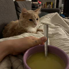 like litteraly yeah right like