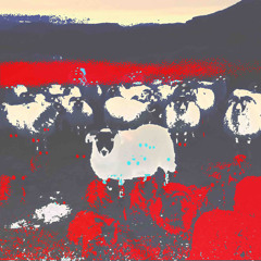 DISPLACED IN TIME / / / BLISSLATE