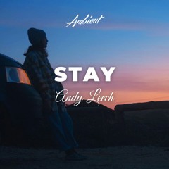 Andy Leech - Stay