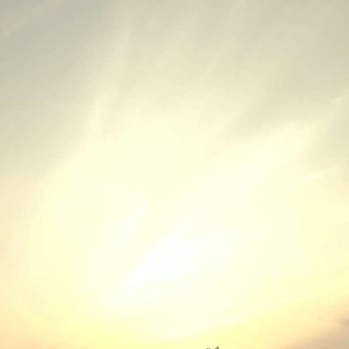 H&L (Prod. Slimy Beats)