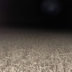 that field (for you, all for you)
