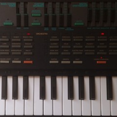 Hibernation (Yamaha pss-560)