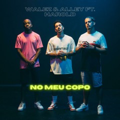 No Meu Copo (feat. Harold)