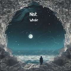 Nist - Whale [iday cover]