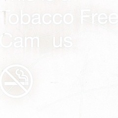 or yesterday.........maybe