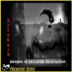 Premiere : Setokaib - Fake Dreams - Weapon Of Sensitive Destruction EP [ARM004]