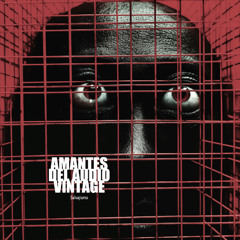 AMANTES DEL AUDIO VINTAGE (Softer)