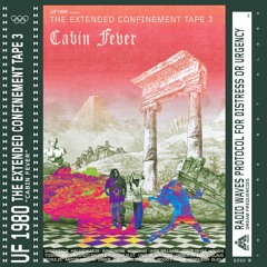 The Extended Confinement Tape 3: "Cabin Fever"