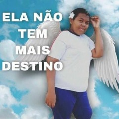 SEU GOSTOSO_ SEU GOSTOSO LIGHT - MC JUNINHO FSF