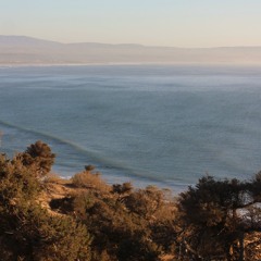Tamraght