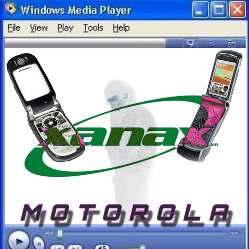 MOTOROLA
