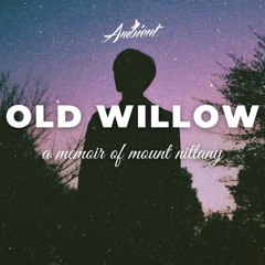 a memoir of mount nittany - old willow