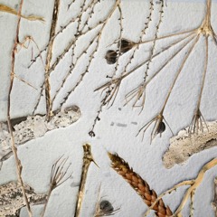 OV·25B STRUCTWERID | Aurora