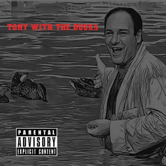 Tony With The Ducks