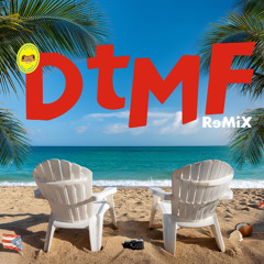 DtMF REMIX (House Version)