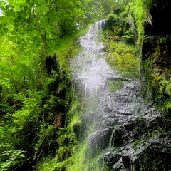 Mallyan Spout Waterfall - Discovering Tranquility at Mallyan Spout Waterfall