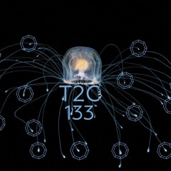 T2C 133 MEDUSA.mp3