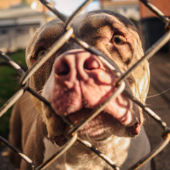 but only god can change that