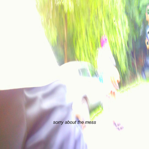 Shaarksz - sorry about the mess (intro)