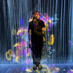 sheisty prod xoolice