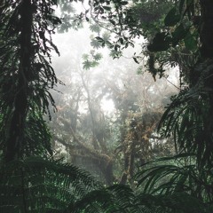Microclimate