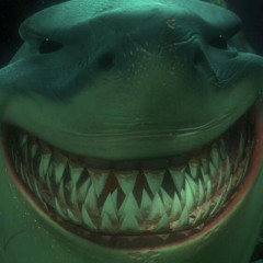 shark