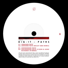 Dig-it - Paths w/ Bailey Ibbs, Fixon & Gene Richards Jr Remixes.