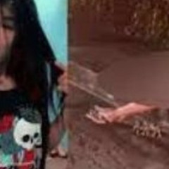 TRENDING** portal do zacarias lenita silva caso lenita portal zacarias portal zacarias lenita Full New Video
