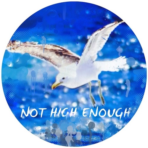 Not High Enough STBB853