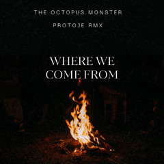 WHERE WE COME FROM - ft. Protoje & Jahshii - RMX