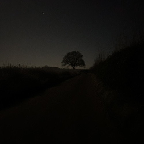 Griffith x headache evvls