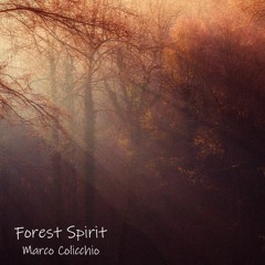 Forest Spirit