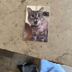 kwp - gotta go slime (prod. ladies)