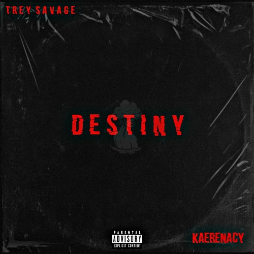 Destiny (feat. Kaerenacy) [Prod. Falak]