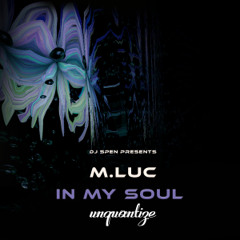 In My Soul (M.Luc's Soulcomotion Remix)