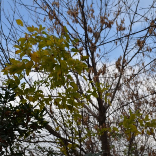 Stream Poema by Ximena R . R | Listen online for free on SoundCloud