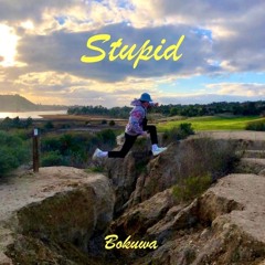 Stupid