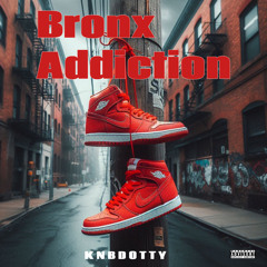 Bronx Addiction