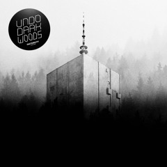 EXCLUSIVE: Undo - Dark Woods [Factor City]