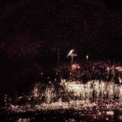 The Noise Inside My Head