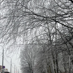Сон