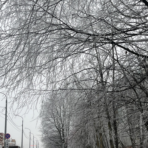 Сон