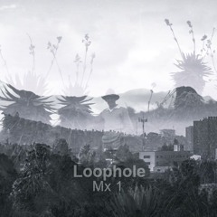 Loophole Mx001