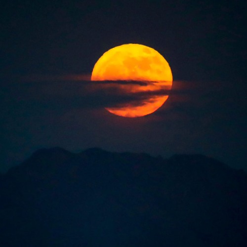 Nosaj Thing & KUČKA - Gemini  (TL Bootleg)