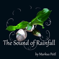 The Sound Of Rainfall
