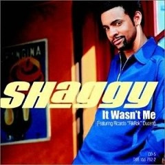 Shaggy - It Wasn't Me (Subnoxious Bootleg D&B Remix)